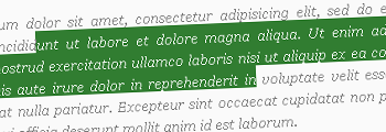Text Selection