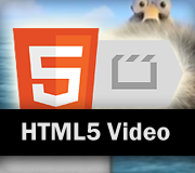 HTML5 Video Controls
