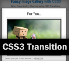 CSS3 Transition