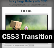 Fancy Image Gallery with CSS3 Transitions