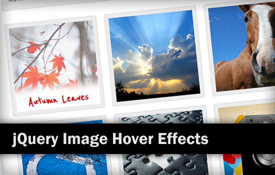 jQuery Image Hover Effects screenshot